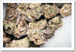 Oysters